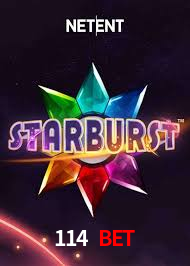 Bônus Diários 114 bet